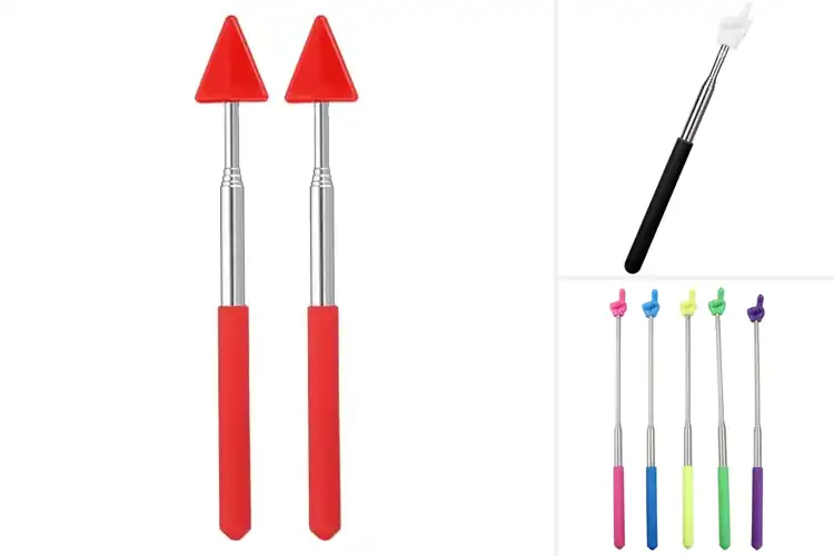 Detailed view of Best 27 Inch Extendable Pointers
