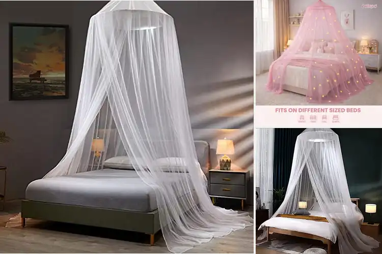 Detailed view of Best Bed Canopies