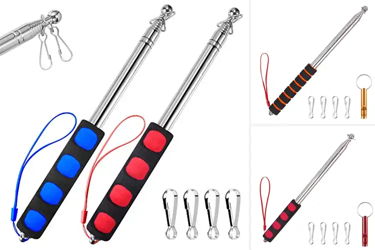 Detailed view of Best Compact Portable Pointers