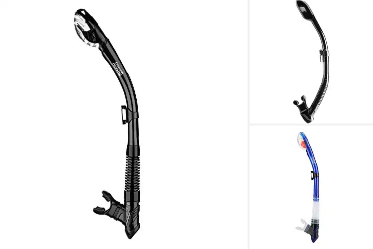 Detailed view of Best Dry Top Snorkels