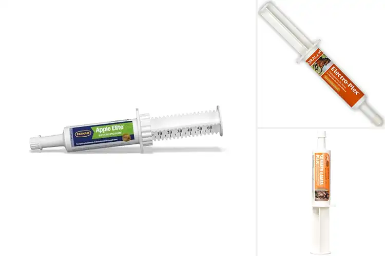Detailed view of Best Electrolyte Pastes: Top 10 Proven Horse Hydration Picks