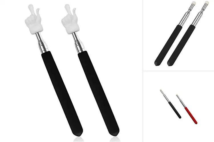 Detailed view of Best Extendable Pointer Sticks