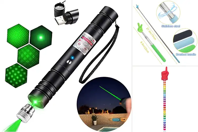 Detailed view of Best High-Visibility Teaching Pointers