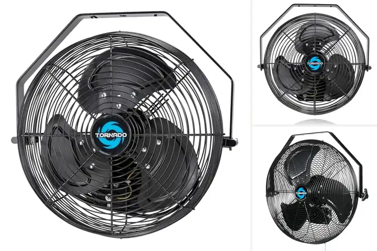 Detailed view of Best IPX4 Rated Motors