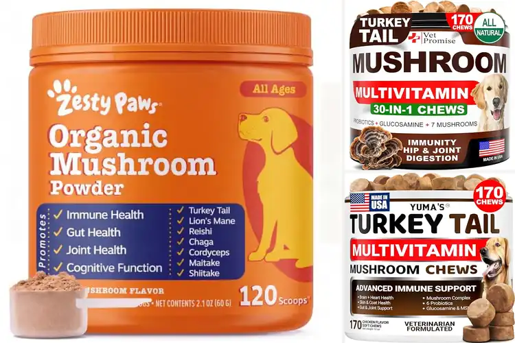 Detailed view of Best Mushroom Supplements For Dogs