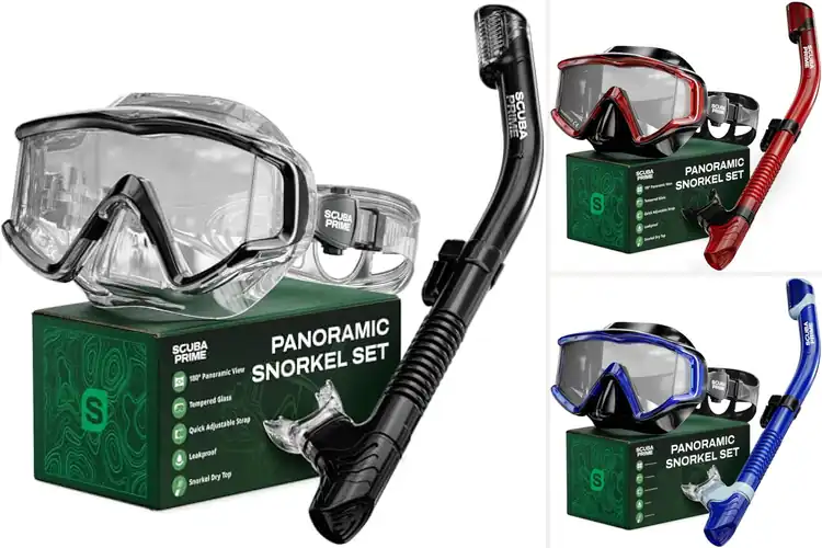Detailed view of Best Panoramic Dive Masks