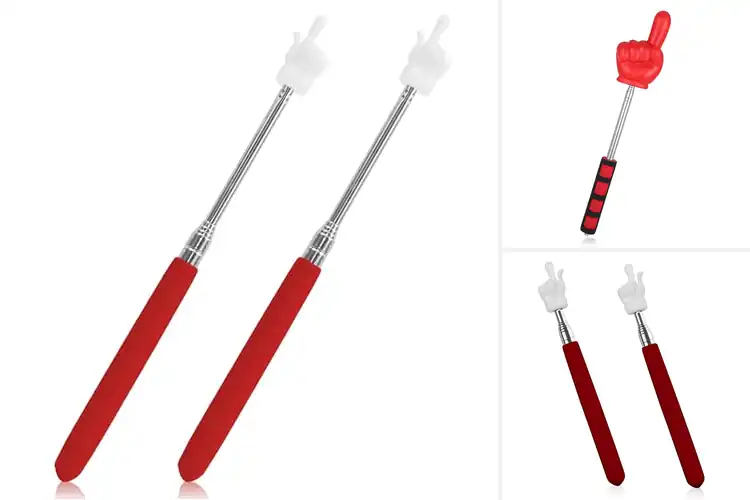 Detailed view of Best Red Color Pointers