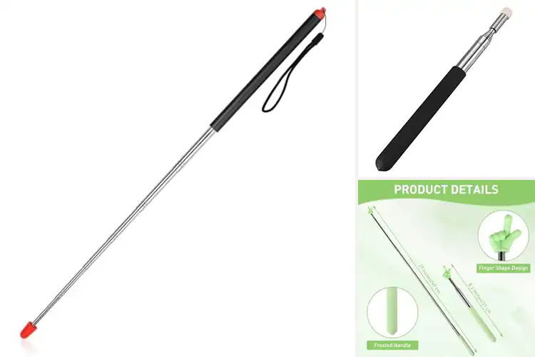 Detailed view of Best Retractable Pointer Sticks