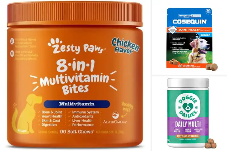 Detailed view of Best Senior Dog Immune Supplements