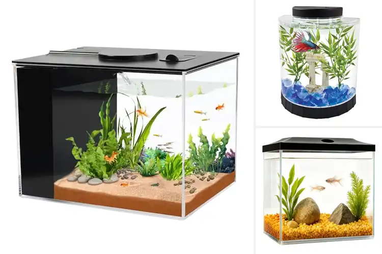 Detailed view of Best Small Aquariums