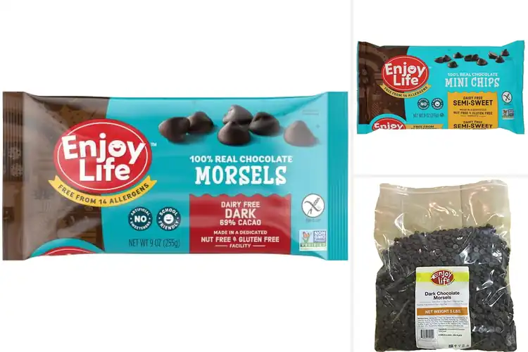 Detailed view of Best Vegan Chocolate Chips: Top Allergen-Friendly Picks