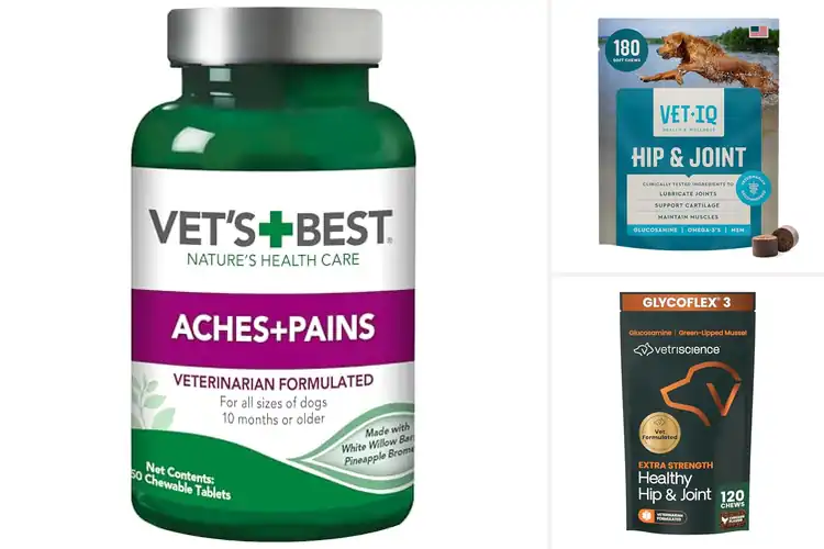 Detailed view of Best Vet Formulated Dog Supplements